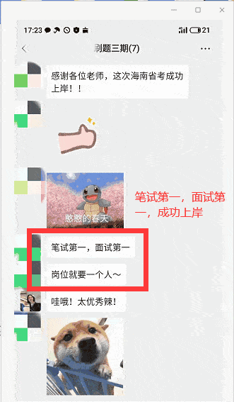 331_567 竖版 竖屏