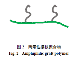 2两亲性接枝聚合物两亲性接枝共聚物是将亲水主链接到疏水支链或是在