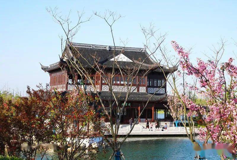 海棠花开"醉"美风景——盐城中华海棠园