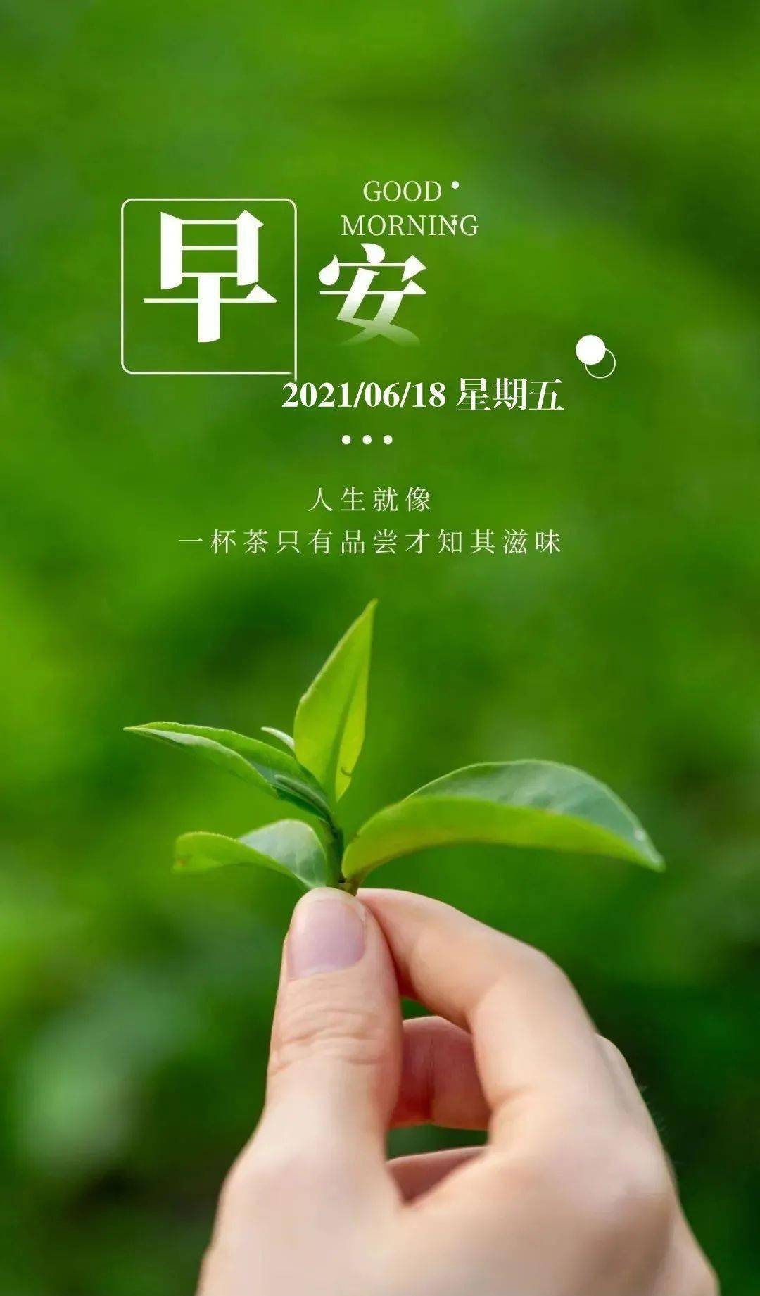 6月18日早安 新的一天,坚持努力