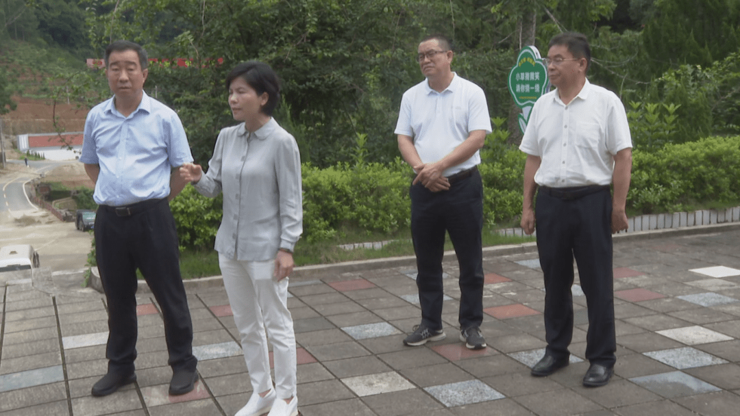 曾晓佳到我县调研党史学习教育工作