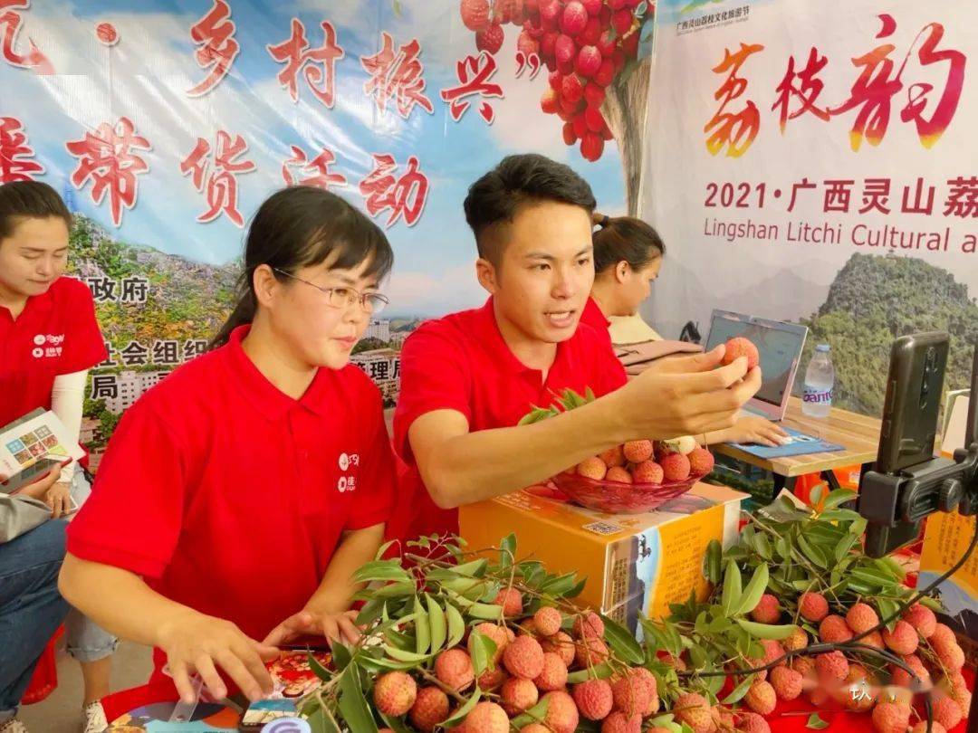 种植面积和产量均居广西之首是全国第二大荔枝种植县白糖罂,灵山香荔