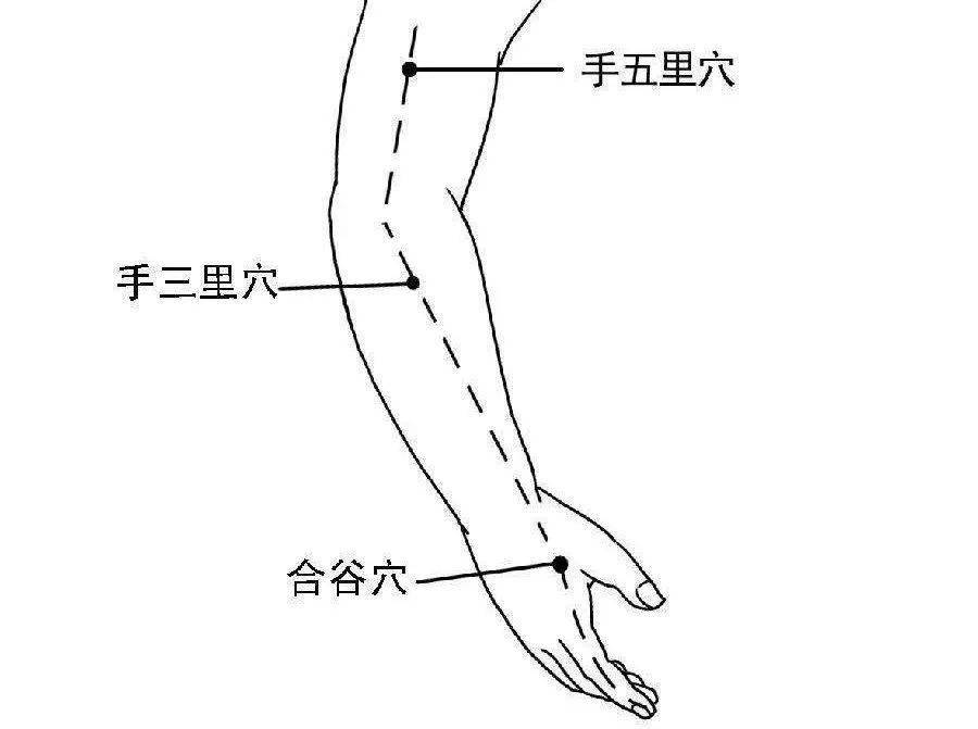 可以顺着大肠经循经路线敲打或只敲打  "手五里——手三里"这一段