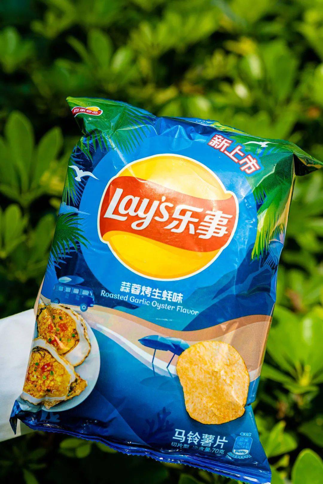 14款奇葩薯片大测评烧鹅味螺蛳粉味生蚝味吃到你怀疑人生