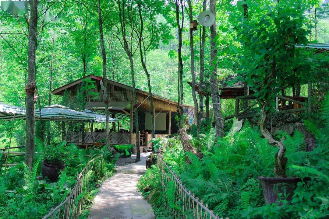 夏至来都江堰在森林与山谷中感受凉凉夏意