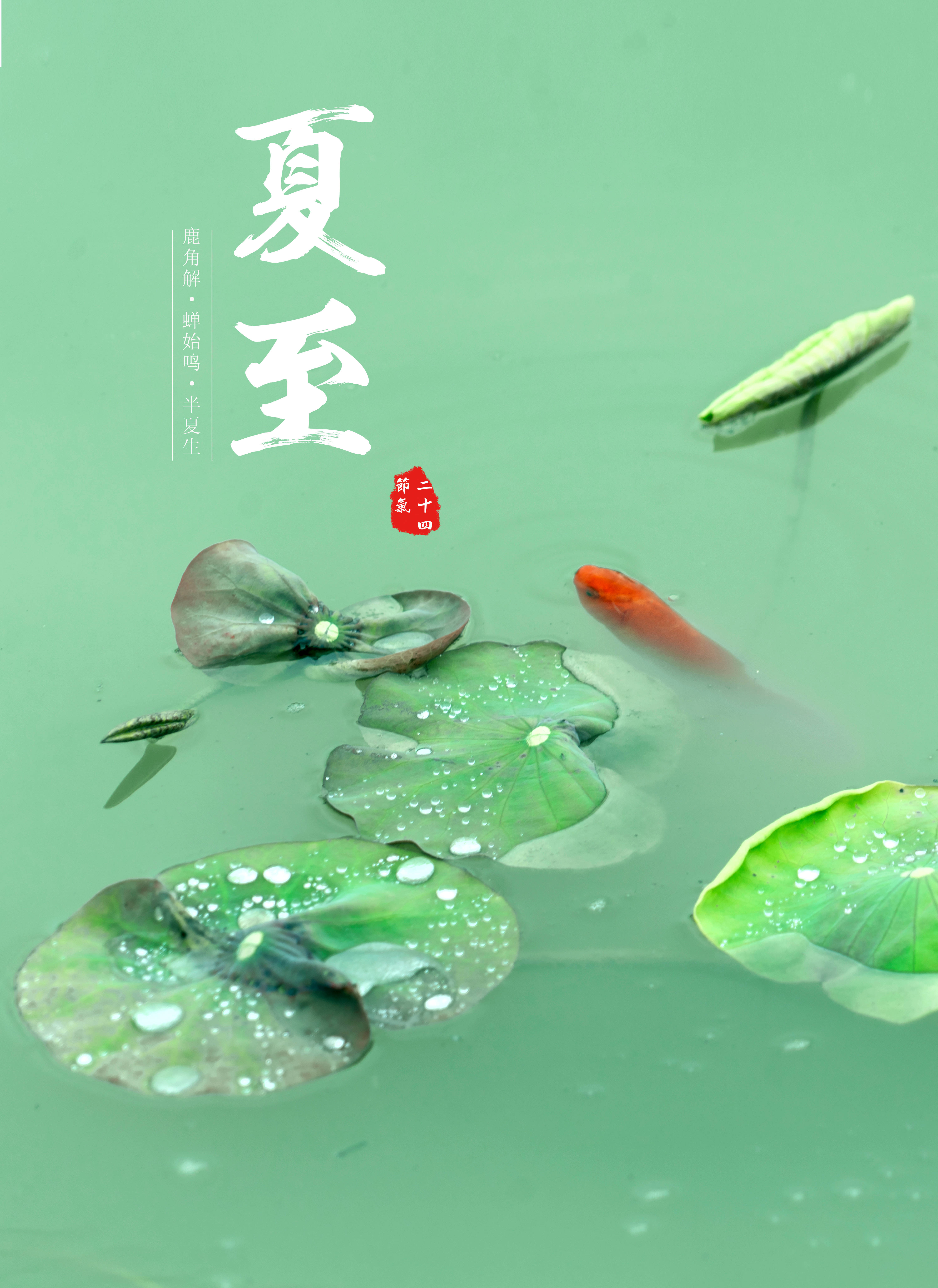 报节气|夏至一阴生