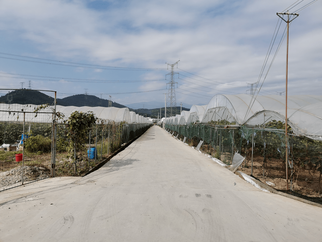 礼州镇田坝村"红色文化旅游路"