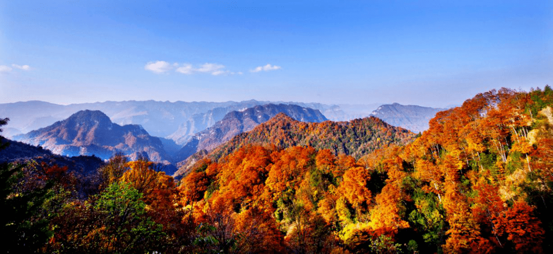 米仓山 国家aaaa级旅游 景区