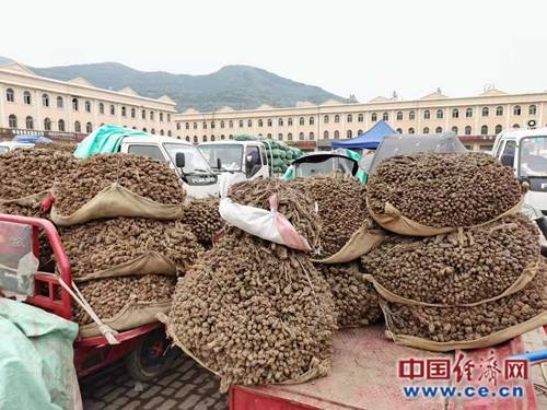6月中旬,记者来到"中国当归之乡"——岷县,实地调研中药材交易市场与