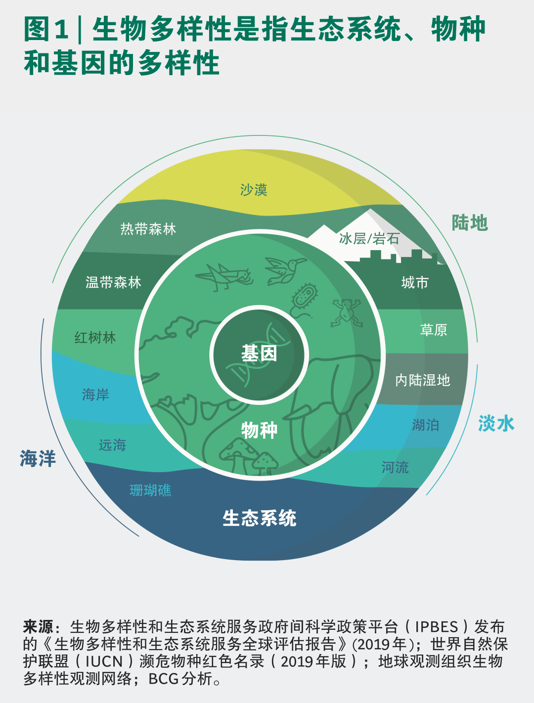 生物多样性危机,也是一场商业危机