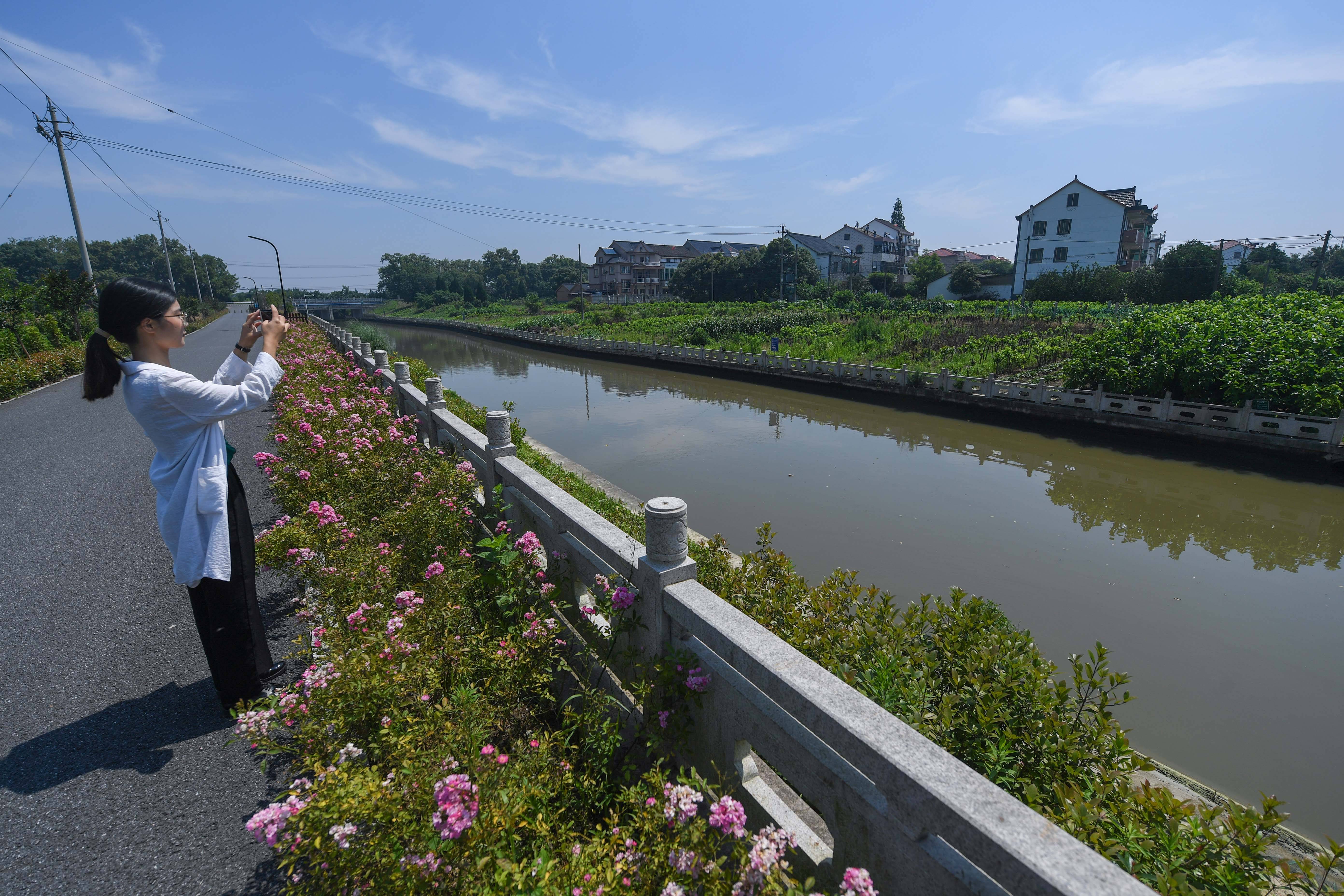 6月23日,一名路人在海宁市周王庙镇的新塘河支浜边拍摄风景.