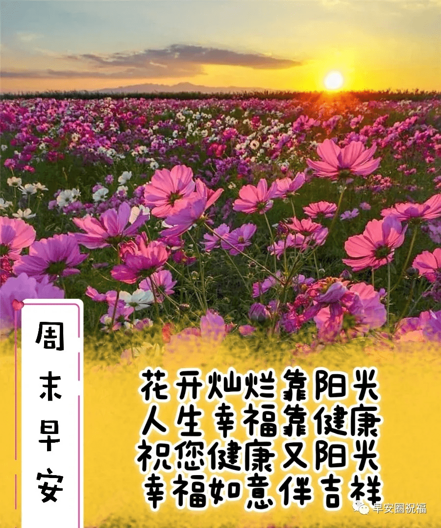 人生如梦,岁月无情.蓦然回首,才发现人活着是一种心情.早安