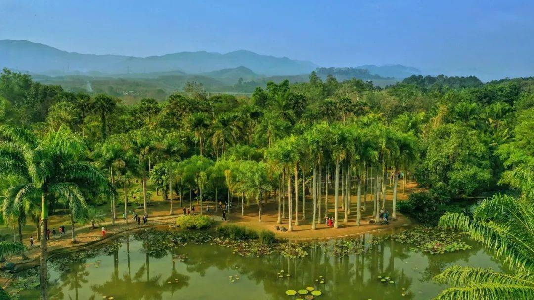 暑假亲子旅行|云南·西双版纳热带雨林6天5晚自然探索之旅