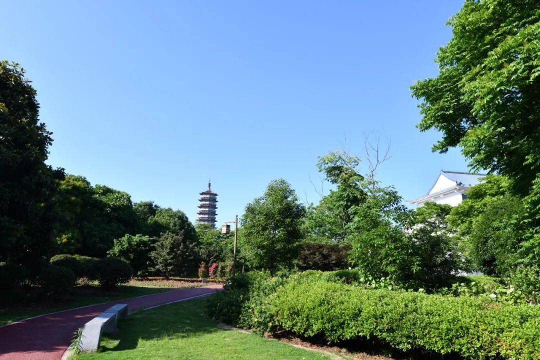投资2600万,历时21个月,金溪这个超大公园,如今.