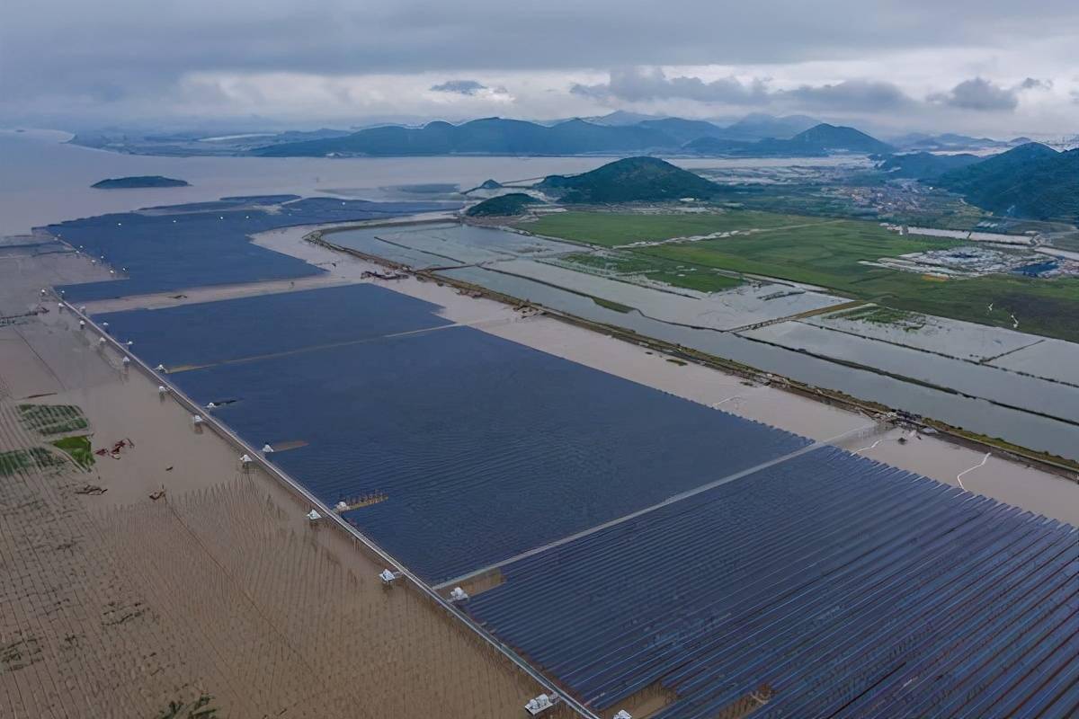 全国最大海岸滩涂渔光互补光伏项目并网发电