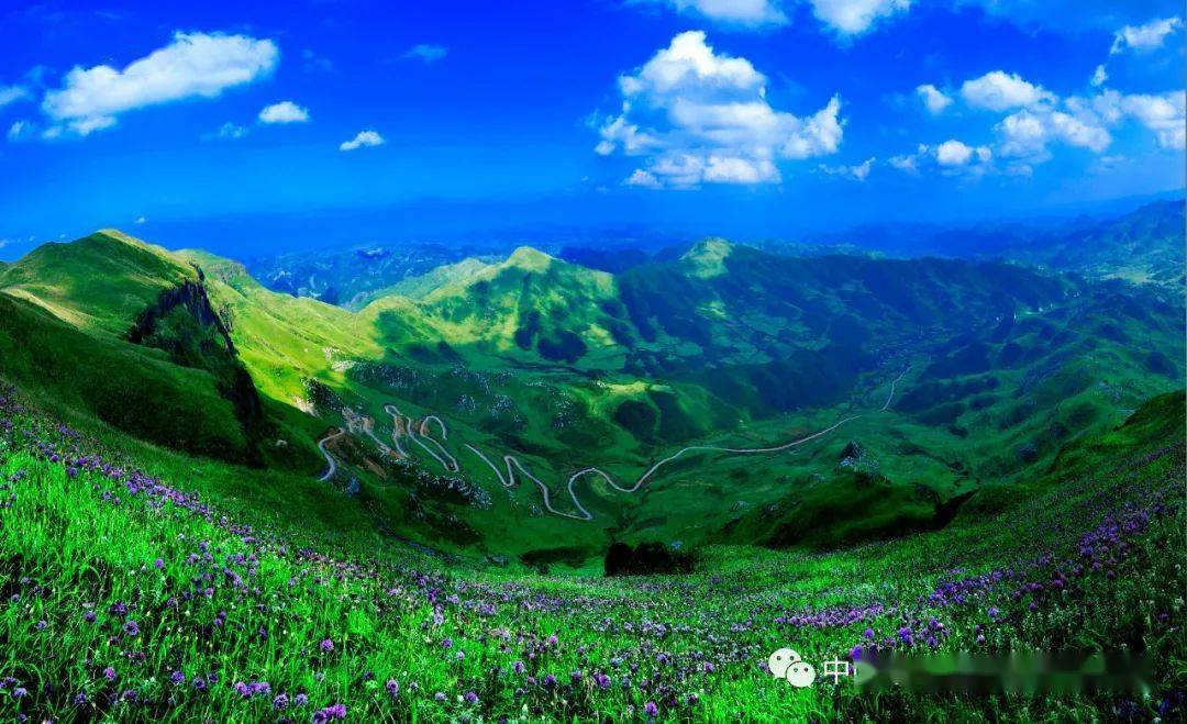 photoriginal 望着这片色彩艳丽的花朵 ----《赫章大韭菜坪·毕节