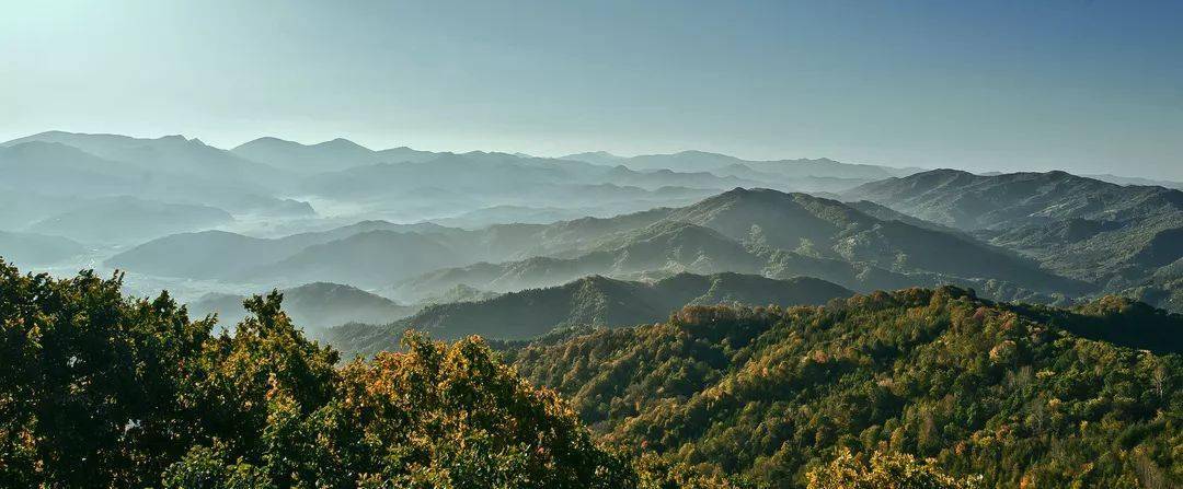 群山皆翠色 福地最宜人_森林