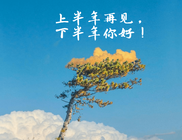 回想这半年里