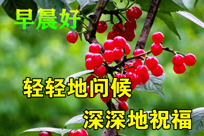 7月3日最漂亮早上好动态表情图片大全,早晨好动图美图大全