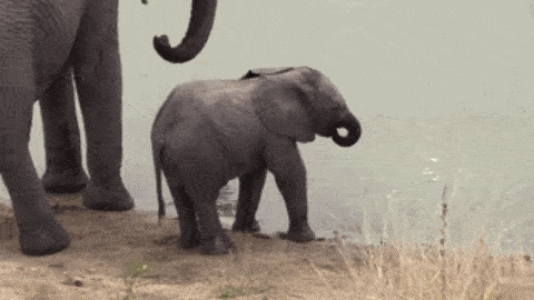 搜狐汽车_搜狐网