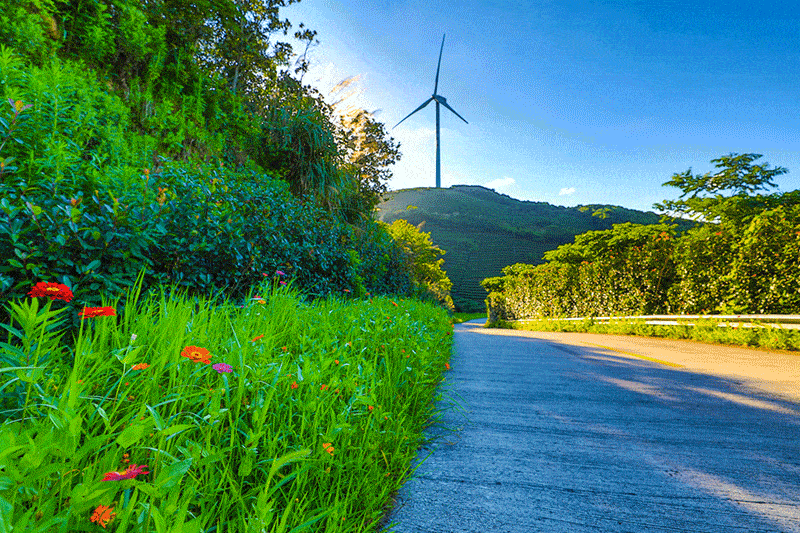 全园沉浸式民国影视主题乐园