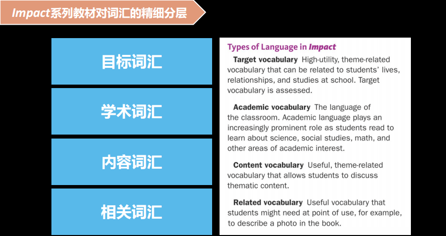 impact 教材中对词汇的精细分层