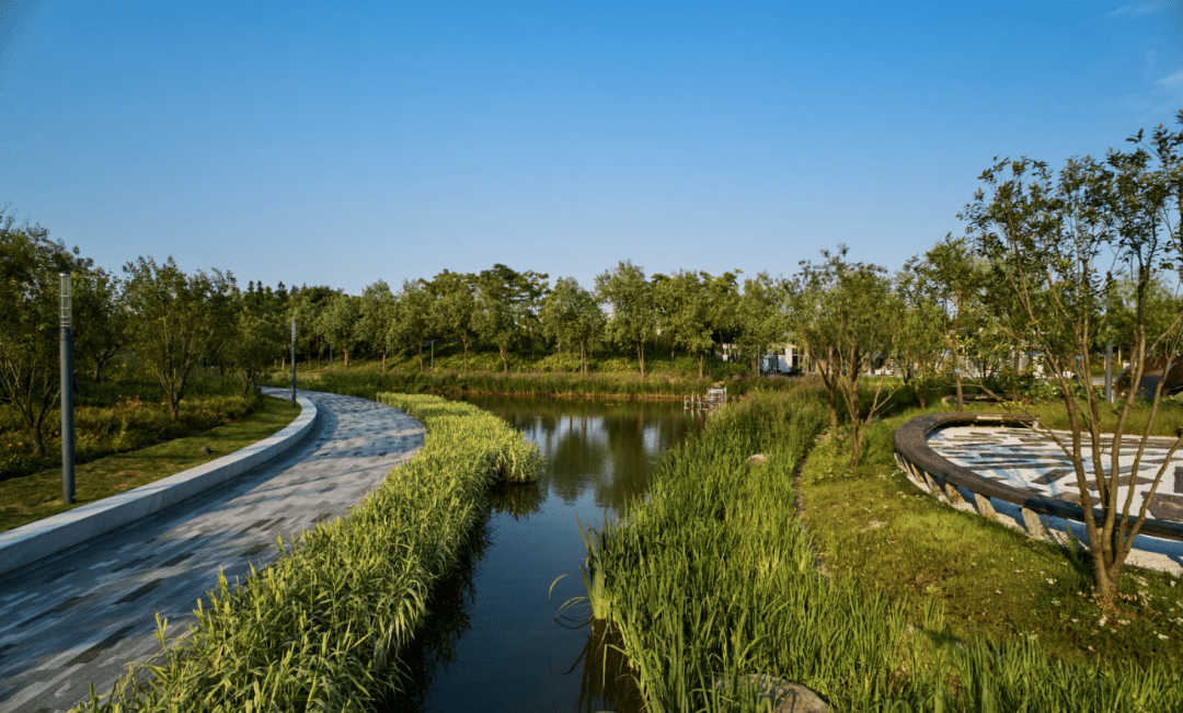 作为中心城区最大的开放式绿地—桃浦中央绿地,已成为生态价值与人文