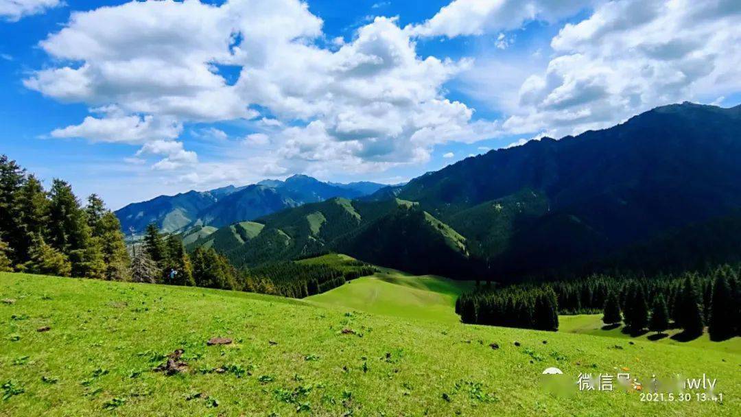 费用aa7月11日乌鲁木齐南山牧场解放沟徒步穿越赏山花捡蘑菇