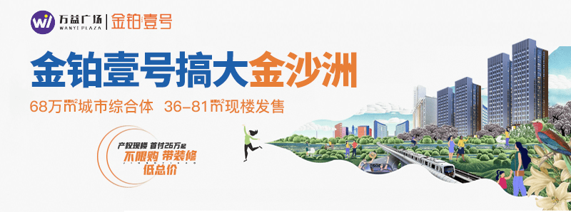 地价4万 的金沙洲,还有首付26万起,做房东的机会