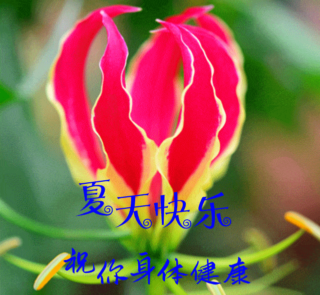 7月12日最漂亮早上好动态表情图片大全,早晨好动图美图大全