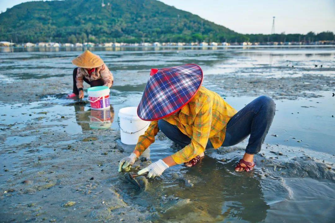 陵水疍家港湾水上城市绵延别样风情