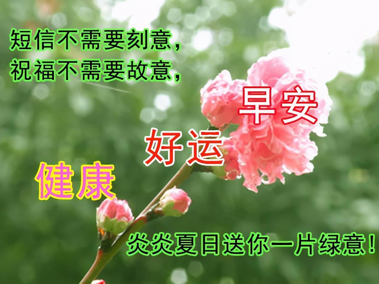 最新最美早安动态祝福图片,最温暖的早安祝福精选语录