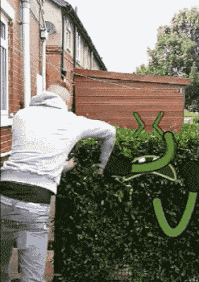 这动态表情玩的太喜感了!