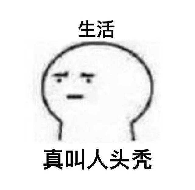 扩列表情包时间到!这是一套正经但又没有完全正经的表情包