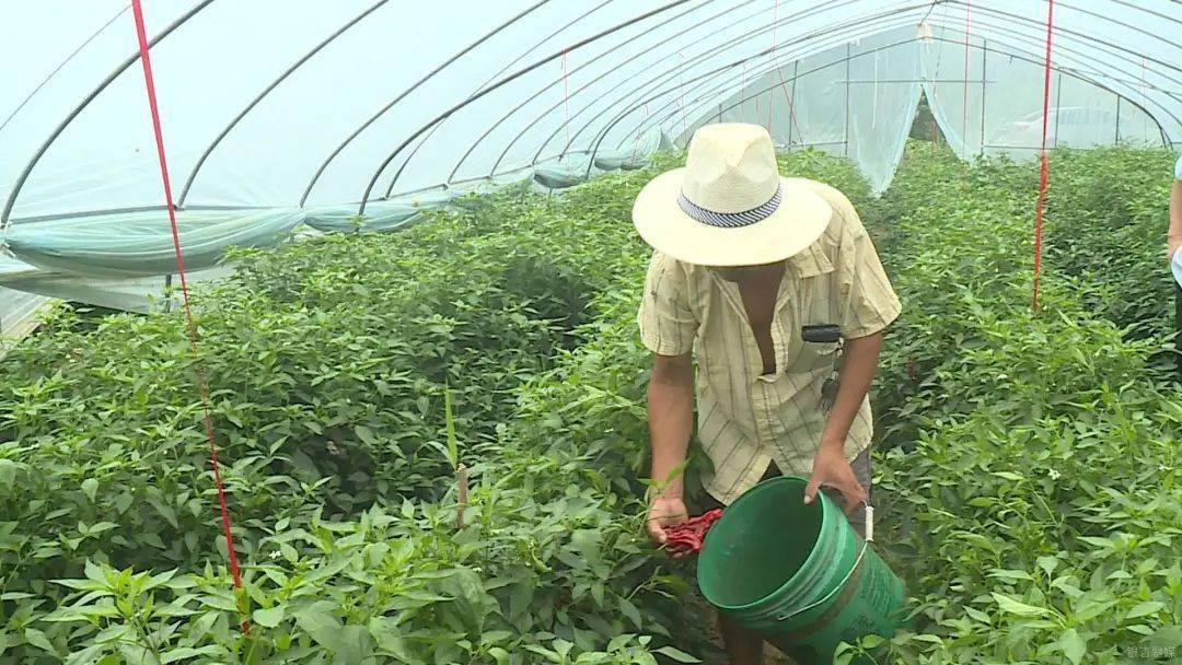 邳州港上镇管家式服务解决村民急难愁盼