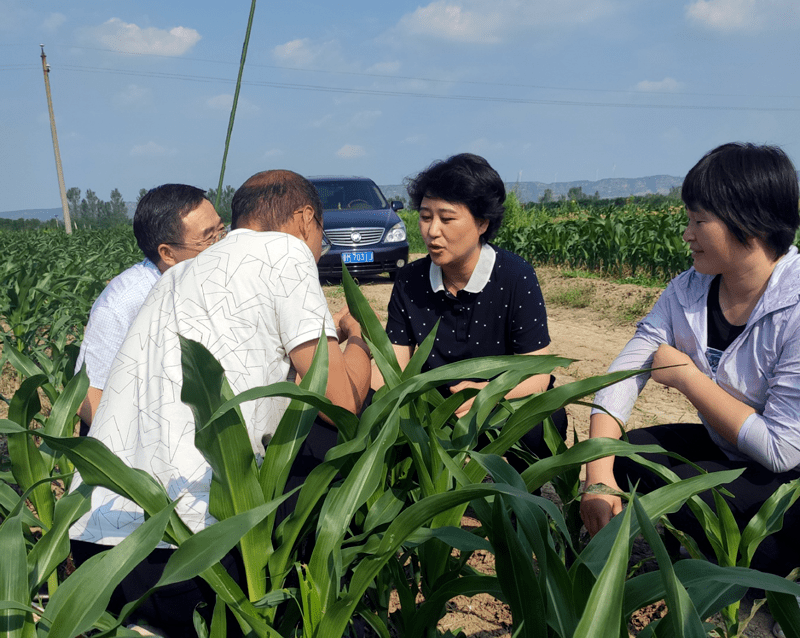 苏丽红局长赴芮调研督导病虫害防控等工作