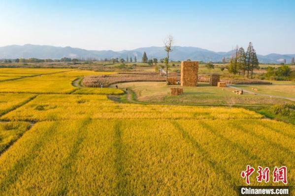 良渚古城遗址公园池中寺仓储区 良管委供图