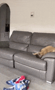 每日一笑,你的眼里只能有我