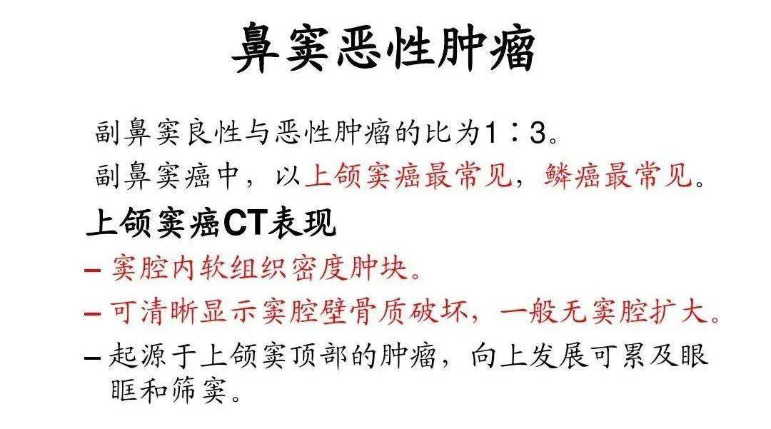 鼻及副鼻窦影像解剖