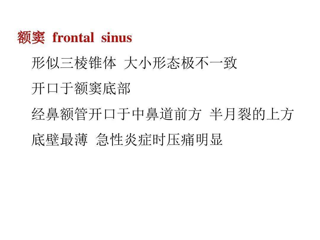 鼻及副鼻窦影像解剖