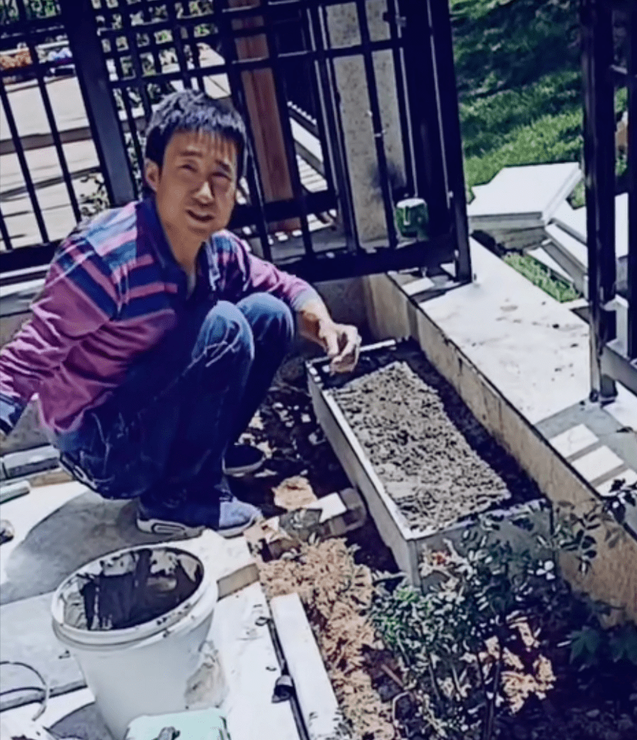 梁青华 | 青松