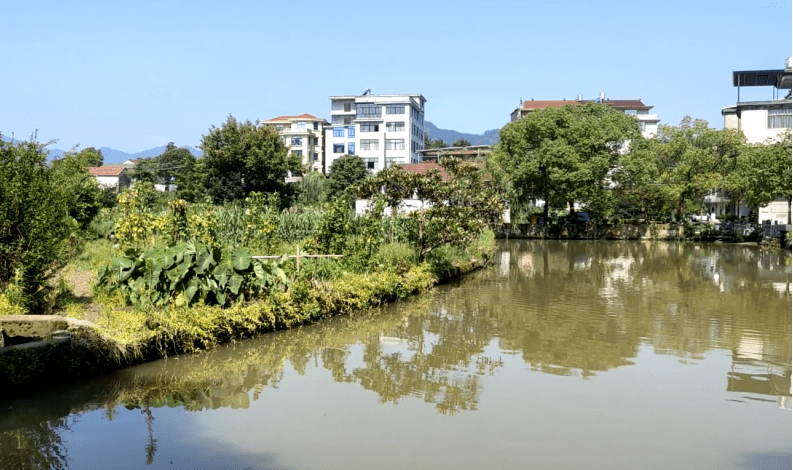 永康村和村的差距原来这么大._永康市