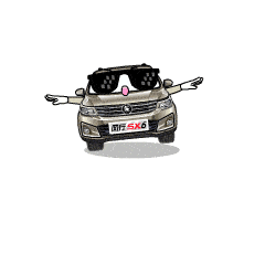 有一种嘚瑟叫,我有风行sx6表情包!