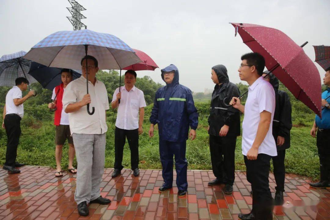 区领导阮敏,利如晁参加督导检查.