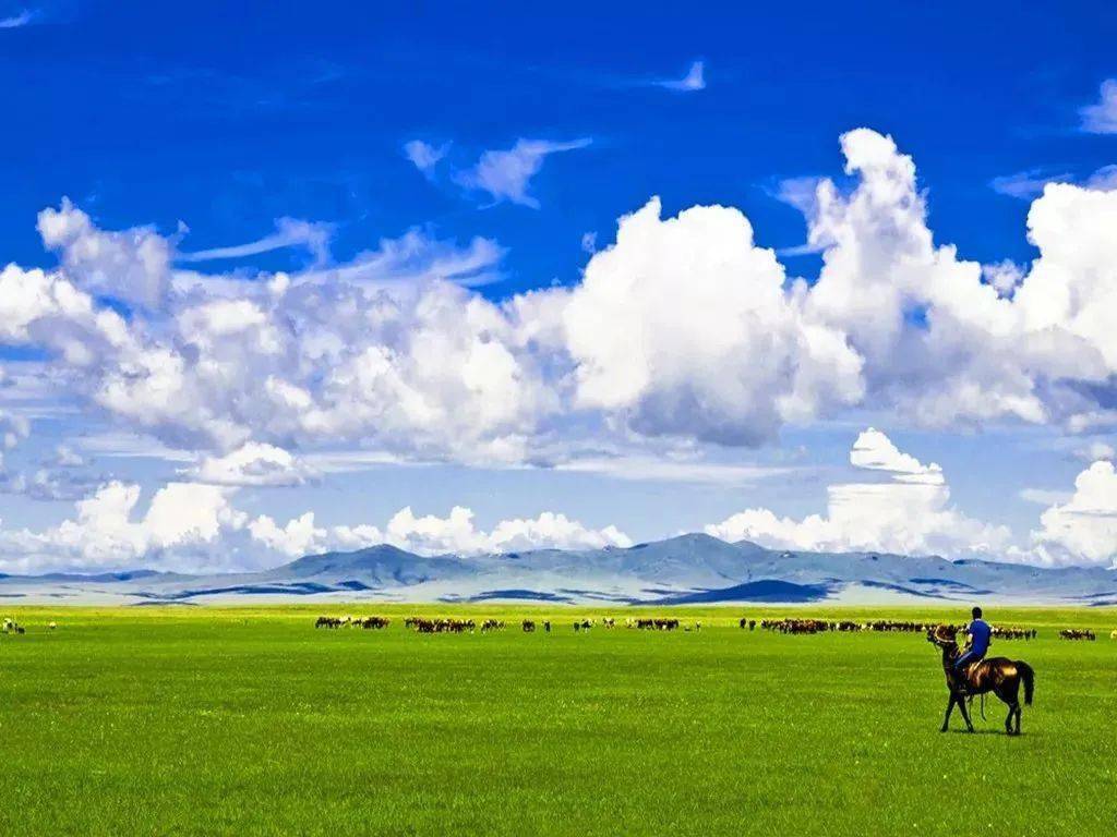 希拉穆仁草原,内蒙古美术馆