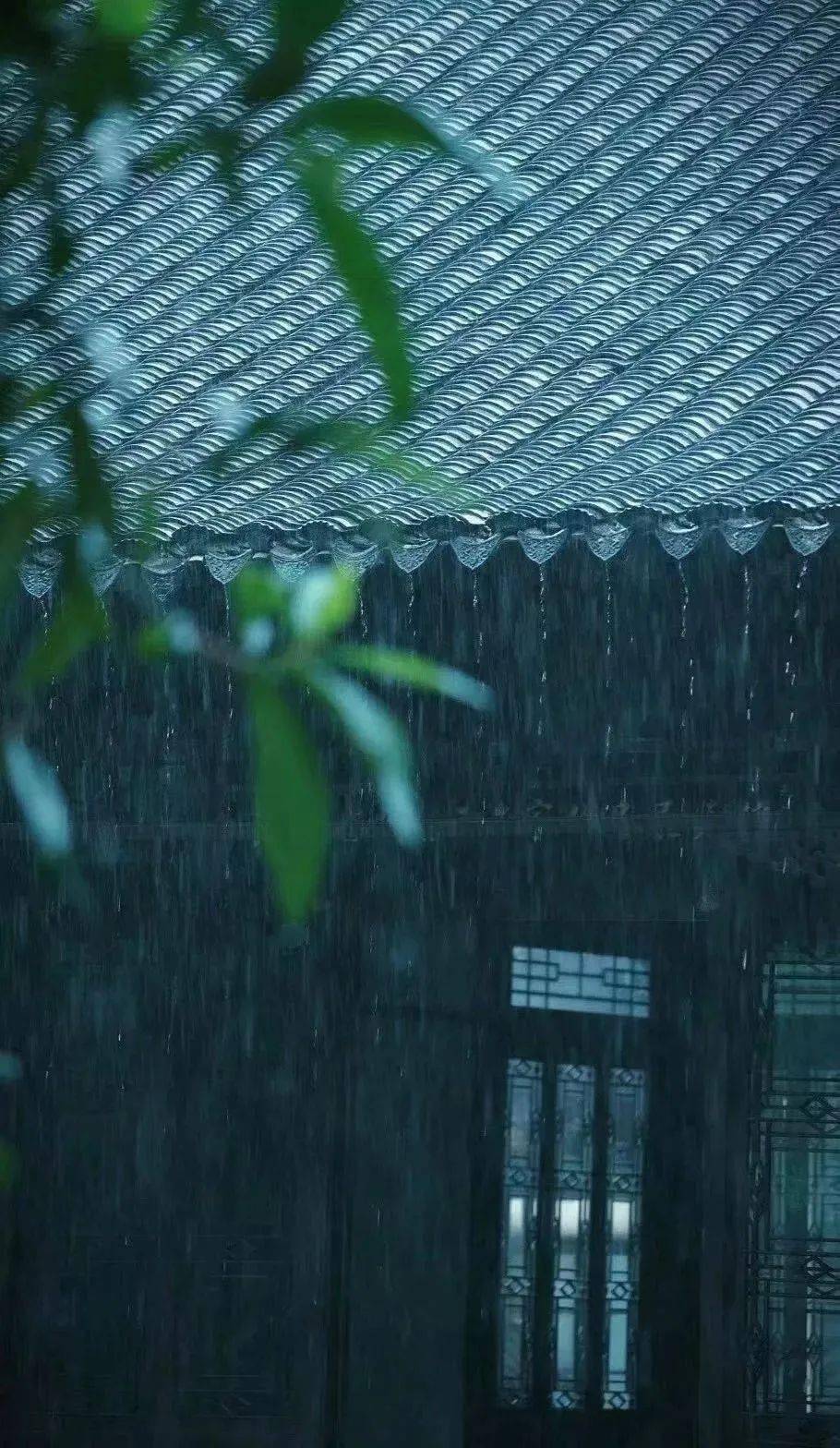 下雨天,随处都是景,怎么拍出意境?