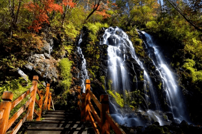 金升自组团沈阳故宫露水河狩猎场长白山南景区望天鹅双高5日