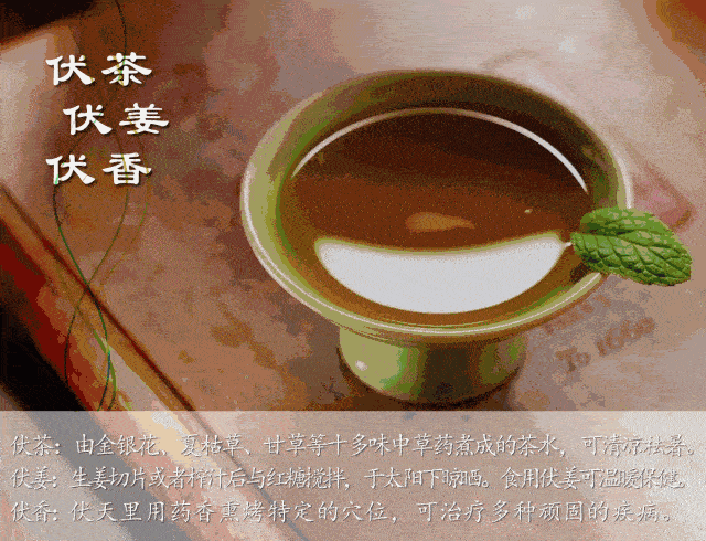 【二十四节气小主播】今日大暑