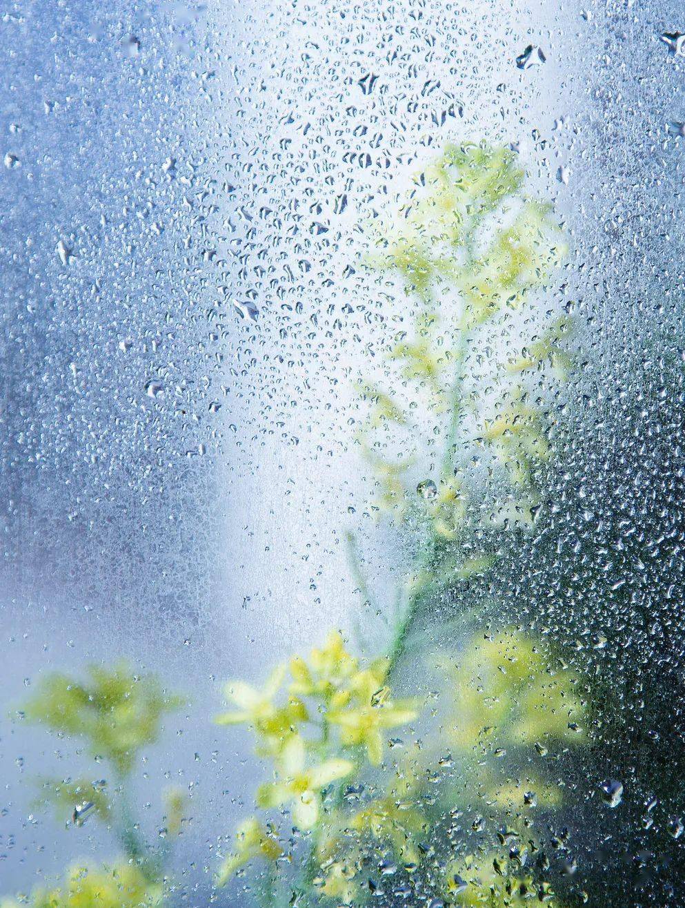 今日大暑 | 中伏暑热 大雨滂沱