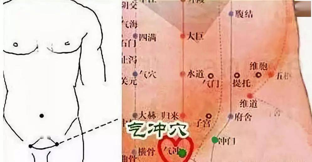 腹股沟部有深,浅的淋巴结群,为下肢,腹壁下部浅层及外生殖器等的淋巴